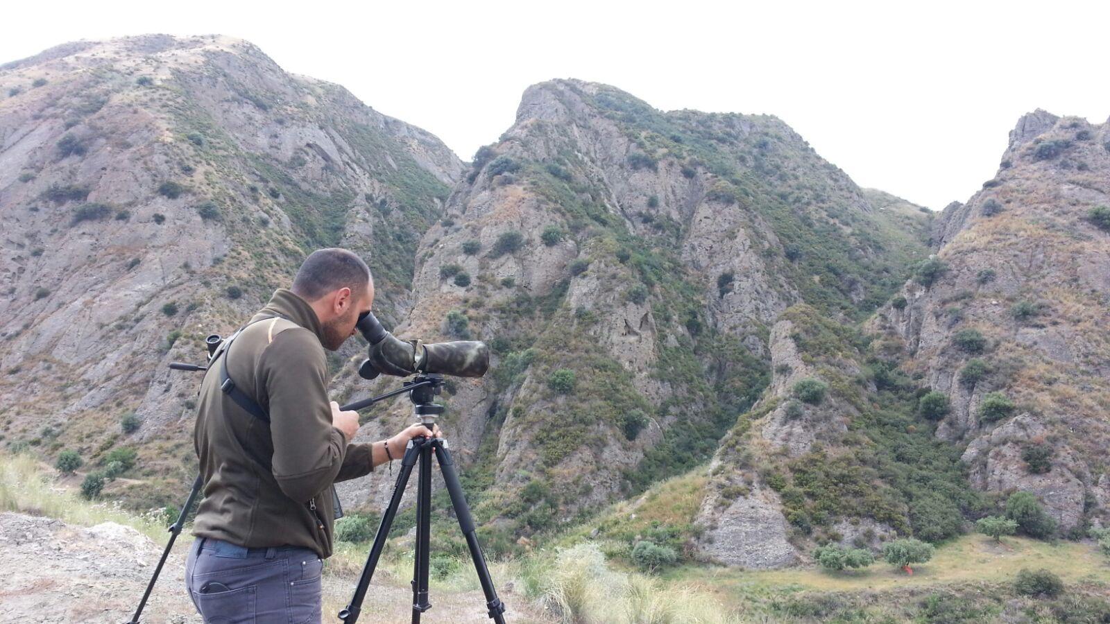 Birdwatching Aspromonte Autunno