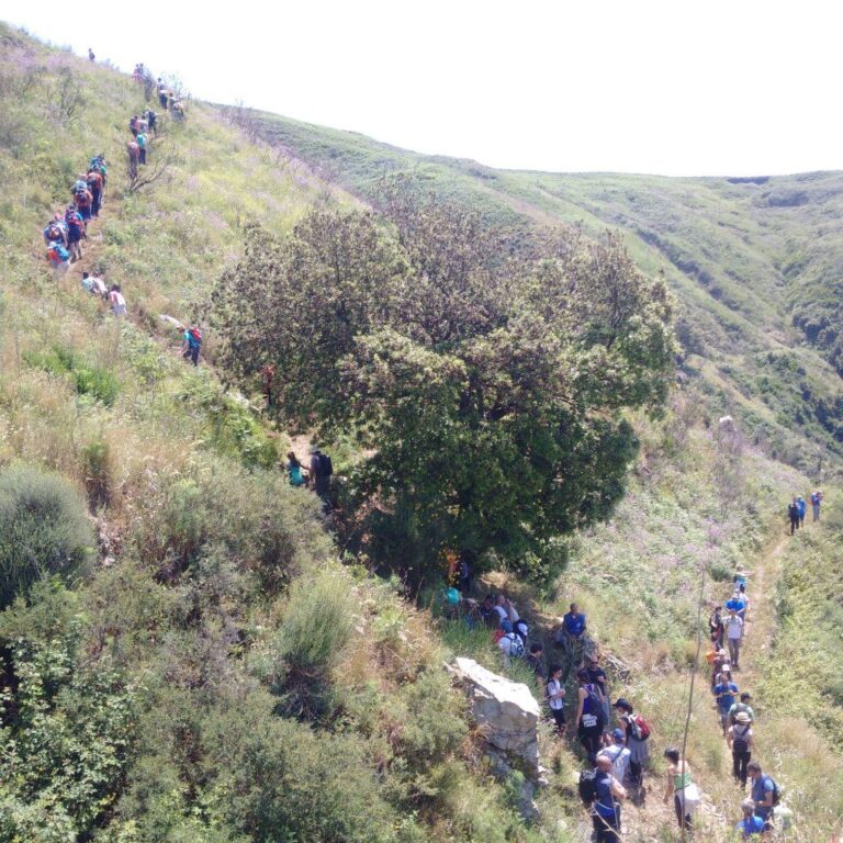 Trekking Costa Viola