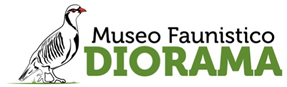 Museo Faunistico Diorama